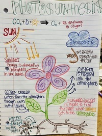 photosynthesis - Class 5 - Quizizz