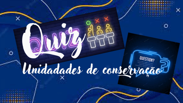 conservação de carga Flashcards - Questionário