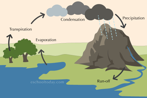 The Hydrosphere | Science Quiz - Quizizz