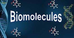 Biomolecules