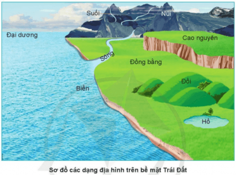 Hình dạng - Lớp 6 - Quizizz