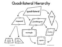 Quadrilaterals - Year 3 - Quizizz