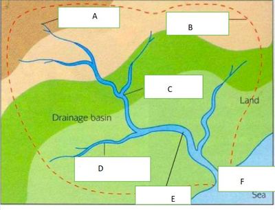 Drainage basin 
