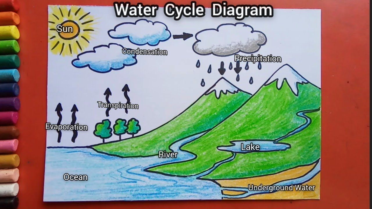 Water & Water Cycle 