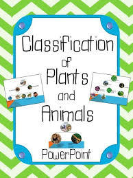 Plants, Animals, and the Earth Flashcards - Quizizz