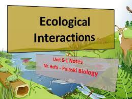 Ecology_Quiz_3 | Quizizz