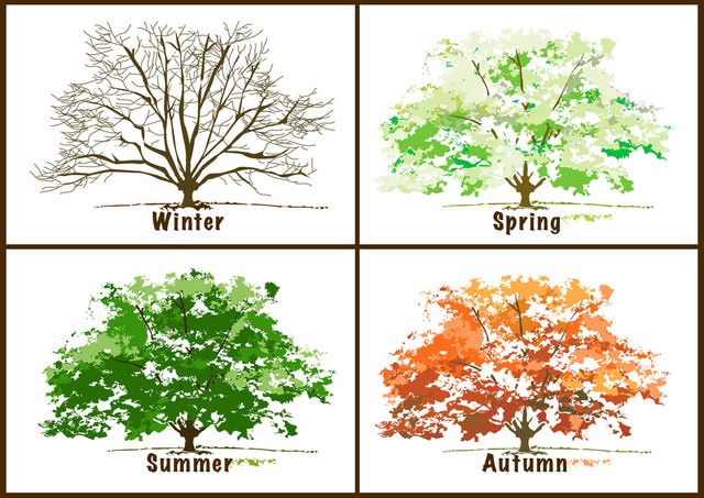 Weather & Seasons - Grade 12 - Quizizz