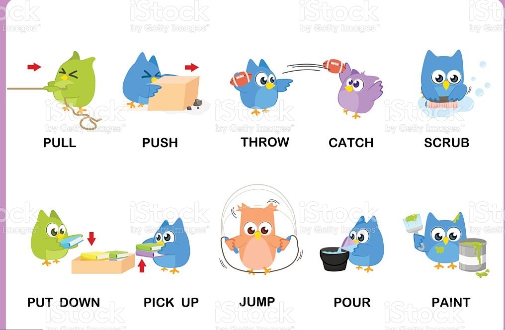 Action Verbs | English - Quizizz