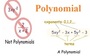Identify Types and Parts of Polynomials