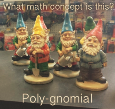 Polynomial Operations - Grade 7 - Quizizz