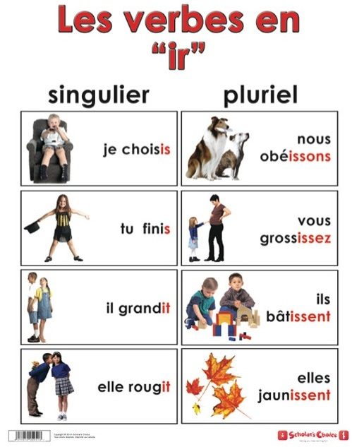 french-regular-ir-verbs-french-quiz-quizizz