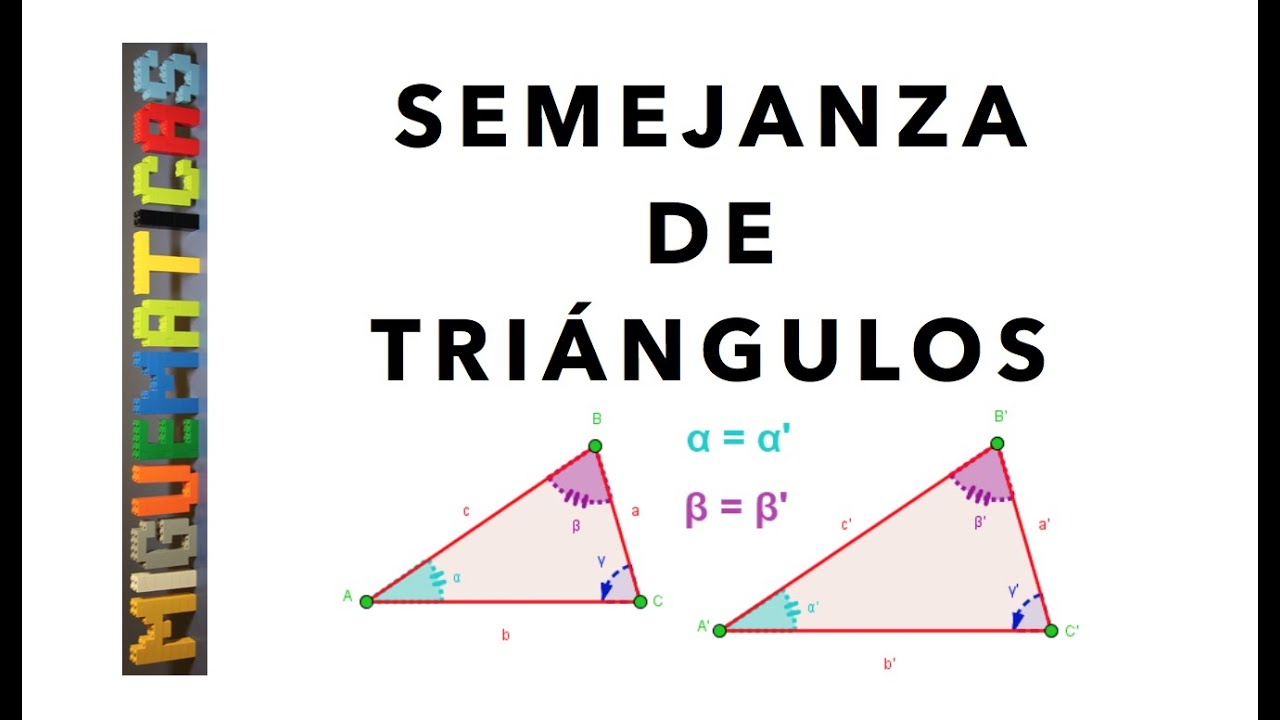 semejanza Tarjetas didácticas - Quizizz