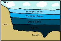 movements of ocean water - Year 7 - Quizizz