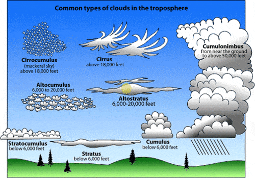 5th Grade NC Science EOG Weather Review | 1.4K plays | Quizizz