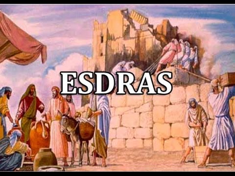 Esferas Flashcards - Questionário