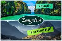 ecosystems - Year 2 - Quizizz