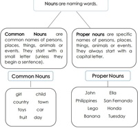 Differentiating Common Nouns From Proper Nouns Quizizz