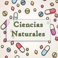 dilataciones - Grado 4 - Quizizz