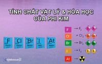 Tính năng văn bản phi hư cấu - Lớp 9 - Quizizz