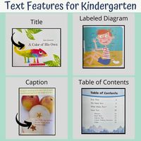 Using Text Features Flashcards - Quizizz