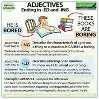Adjectives - Year 11 - Quizizz