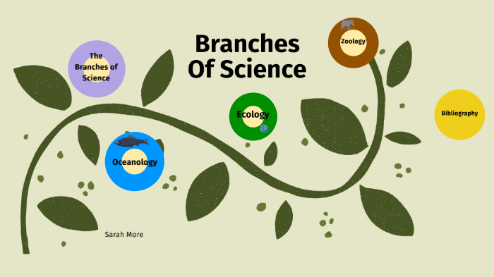 Branches Of Science | Science - Quizizz