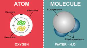 atoms and molecules - Class 1 - Quizizz