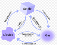 dilataciones - Grado 12 - Quizizz