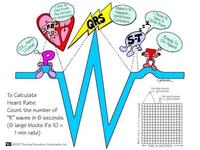 ECG - Year 12 - Quizizz