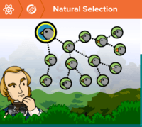 Natural Selection and Adaptations - Class 3 - Quizizz