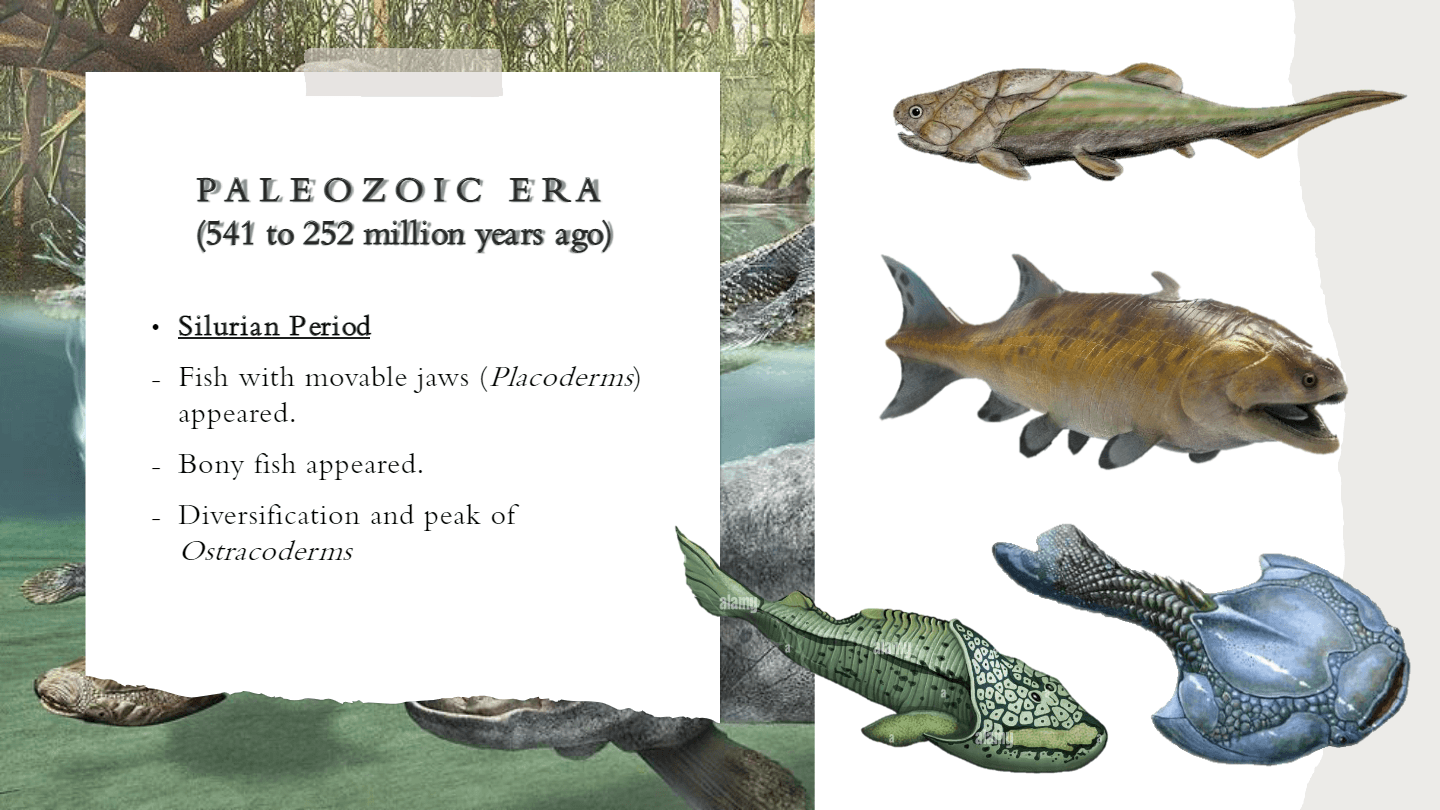 The Geological Time Scale questions & answers for quizzes and tests ...