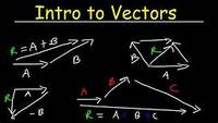 vectors - Class 9 - Quizizz