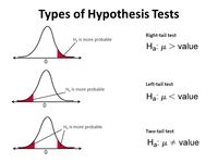 hypothesis testing - Class 12 - Quizizz