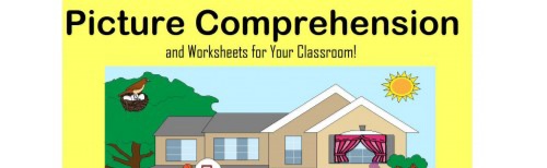 Picture Comprehension Flashcards - Quizizz