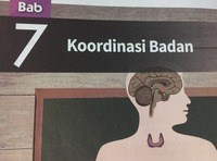 sistem saraf dan endokrin - Kelas 10 - Kuis