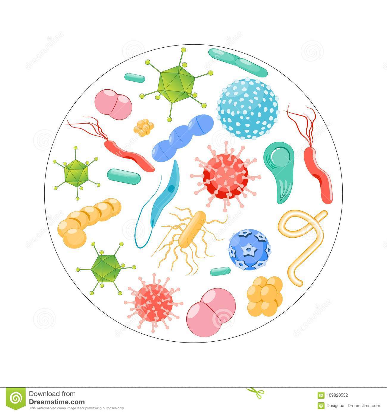 Wirusy, Bakterie, Protisty, Grzyby | Biology - Quizizz