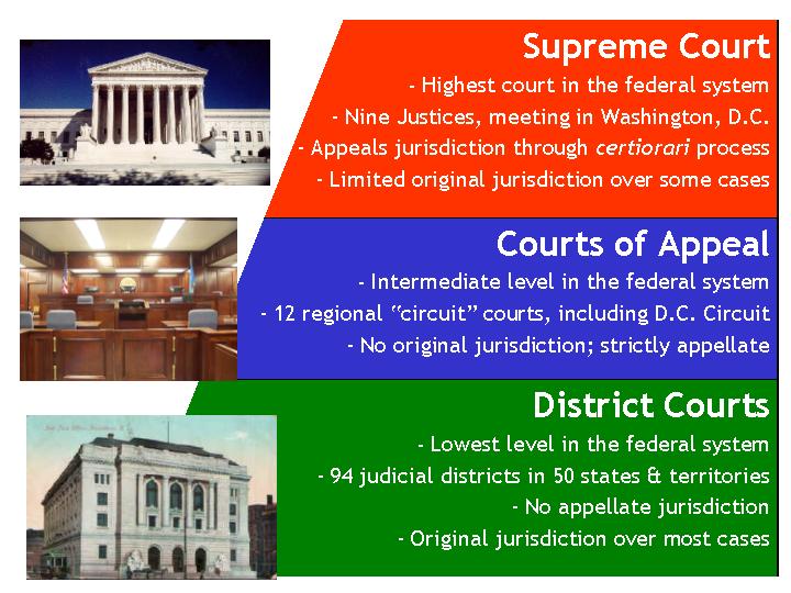 criminal-justice-court-systems-final-assessment-review-quizizz