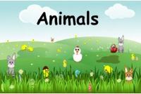 Animals Flashcards - Quizizz