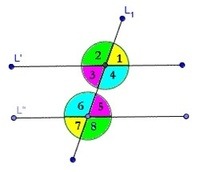 transversal de rectas paralelas - Grado 7 - Quizizz