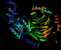 developmental biology - Grade 1 - Quizizz