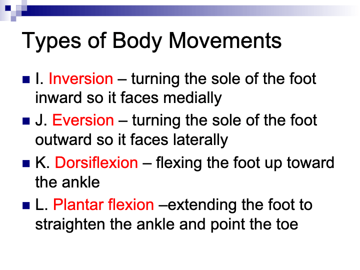 Unit 5 - Muscular System - Muscle Types, Movements and Names - Quizizz