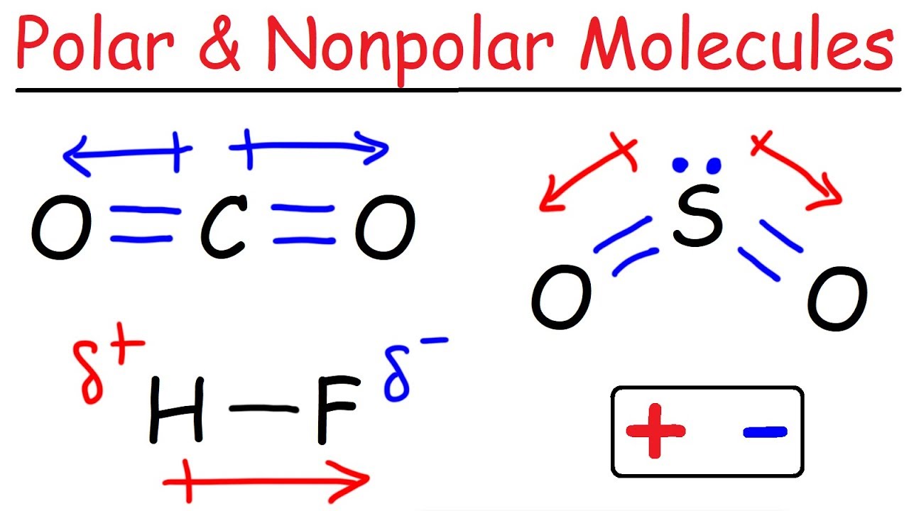 Solubility Polar Vs Nonpolar Worksheet Answers