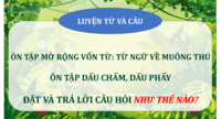 Dấu phẩy - Lớp 2 - Quizizz