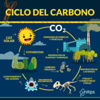 propiedades del carbono - Grado 5 - Quizizz