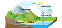 movimientos del agua del océano - Grado 9 - Quizizz