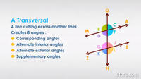 transversal of parallel lines - Grade 9 - Quizizz