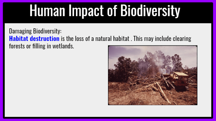 Human Impact On Biodiversity | Science - Quizizz