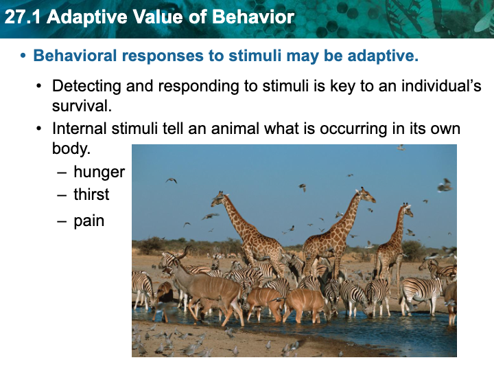 adaptive-value-of-behavior-biology-quizizz