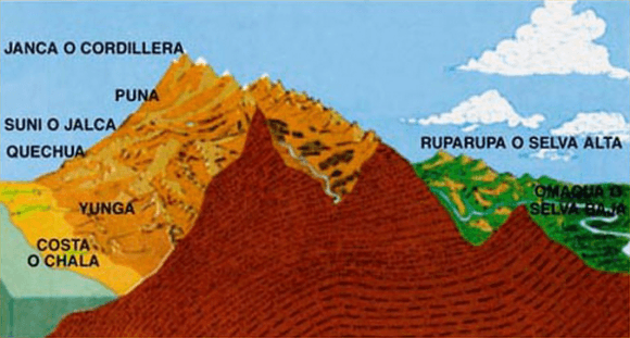 REGIONES NATURALES DEL PERÚ: CHALA Y YUNGA - Quizizz