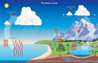 Water Cycle Exam